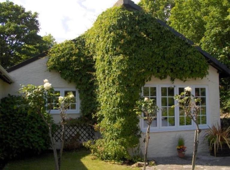 Apartment in lovely village - B&B Newquay