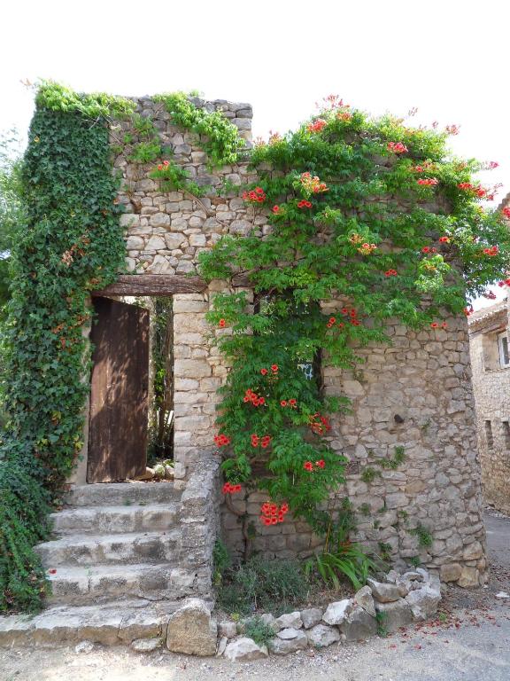 maison familiale - B&B Saint-Trinit