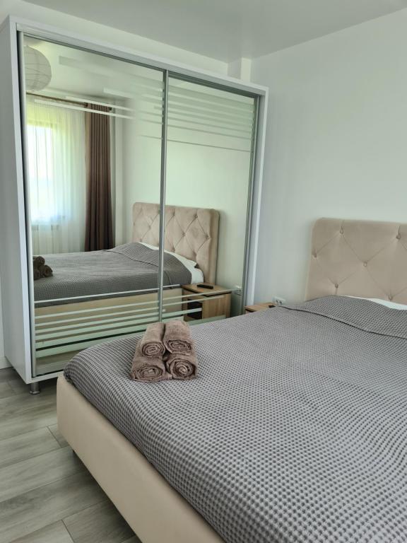 Somad Apartment - B&B Rediu