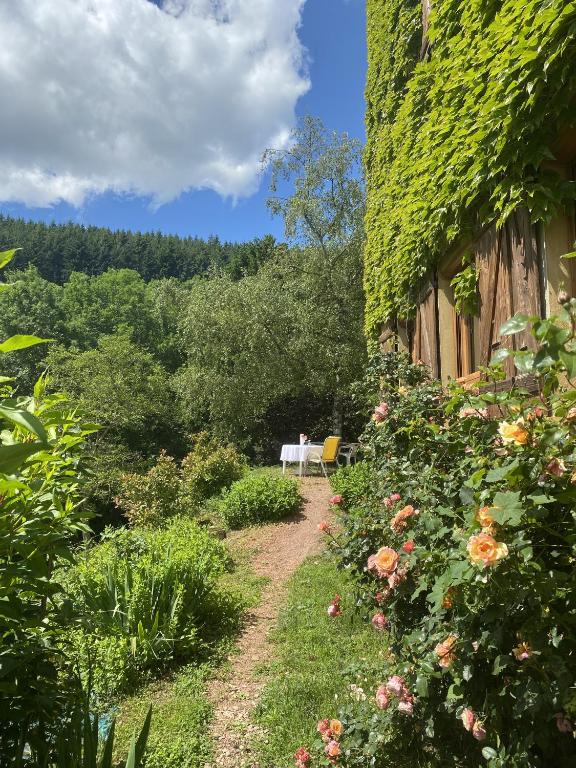 Gîte de Chamelet - Nature et tranquillité - B&B Chamelet