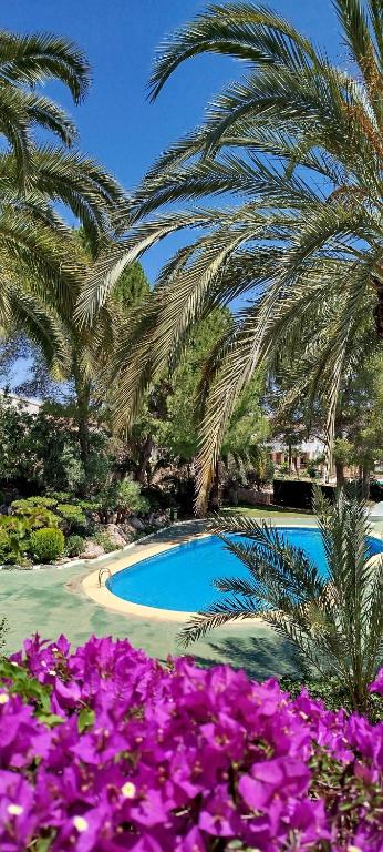 Apartamento Buganvilla Pool - Chambres d'hôtes Muntanya la Sella