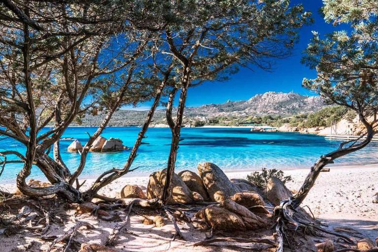 Casa Indipendente nel Cuore della Costa Smeralda Comfort per Famiglie e Gruppi - B&B Arzachena