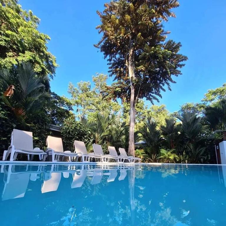 Alloro Jungle Villas - B&B Puerto Viejo de Sarapiqui