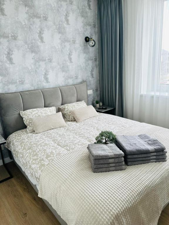 Žaliakalnis Suites - B&B Kaunas