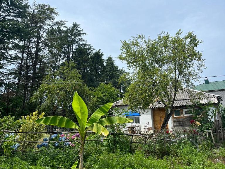 OK Sahli - B&B Shek’vetili