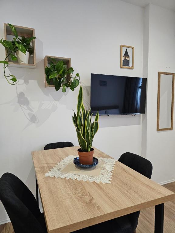Apartment's City Center Aquilo - Ferienwohnung Tirana