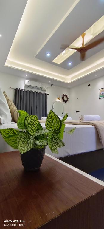 Saanvi Farmhouse - Bed and Breakfast Hampi