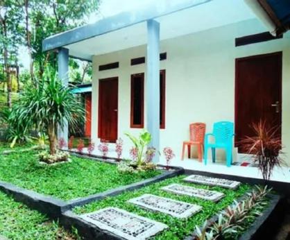 Tangkoko Macaca - B&B Rinondoran