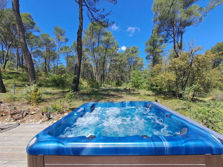La Pinède de Venelles Jacuzzi privatif - B&B Venelles