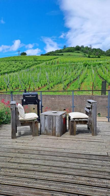 Au pied des vignes - B&B Bergheim