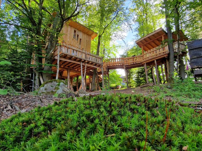 La Cabane dans les arbres du Domaine de la Forestière - Chambres d'hôtes Saint-Louis