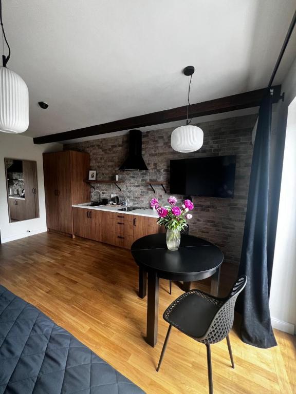 Apartamenty Św Stanisława - B&B Skierniewice