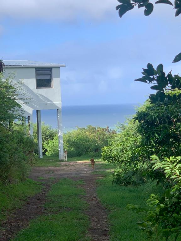 The Voyager lodge - Bed and Breakfast Port Mathurin