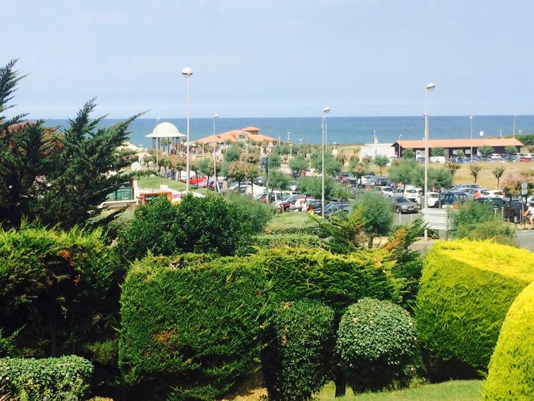 Hippocampe - B&B Anglet