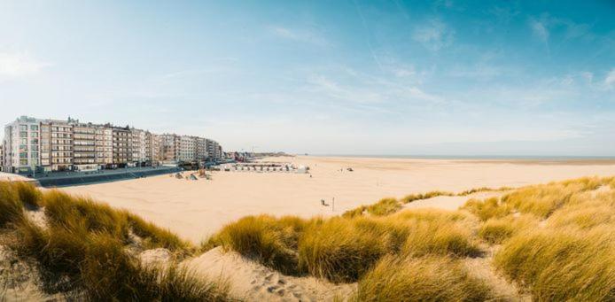 Studio Boniche 1 bedroom 1 slaapkamer - B&B Zeebrugge