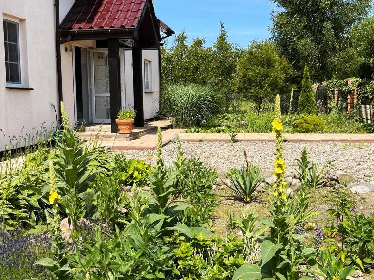 Pokoje gościnne Neptunia - Ferienwohnung Rusinowo