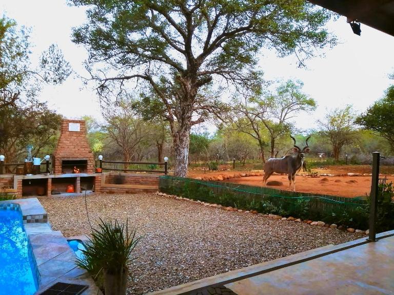 Flight of the Eagle @ Kruger - B&B Marloth Park
