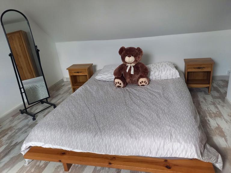Chambre spacieuse - B&B Montfort-le-Gesnois