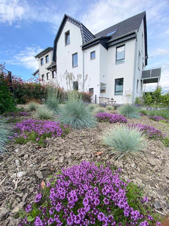 Apartmenthaus Bella Casa - Bed and Breakfast Hagen