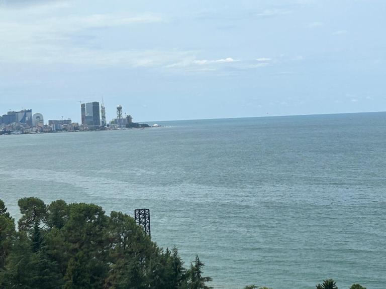 Студия на двоих с потрясающим видом на море - Chambres d'hôtes Batoumi