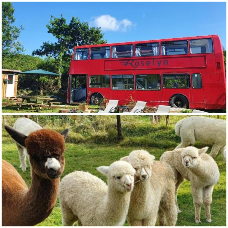 Double Decker Bus on an Alpaca Farm sleeps 8 - B&B Hennock