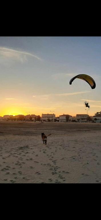 Repos, nature et famille - B&B Narbonne-Plage