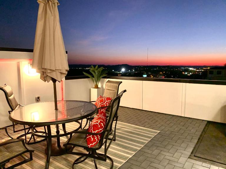LUXURIOUS MORDEN LOFT Huge Rooftop & Skyline Views - Bed and Breakfast Nashville