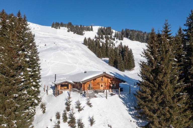 Almhütten Saalbach-Hinterglemm - Ferienwohnung Saalbach-Hinterglemm