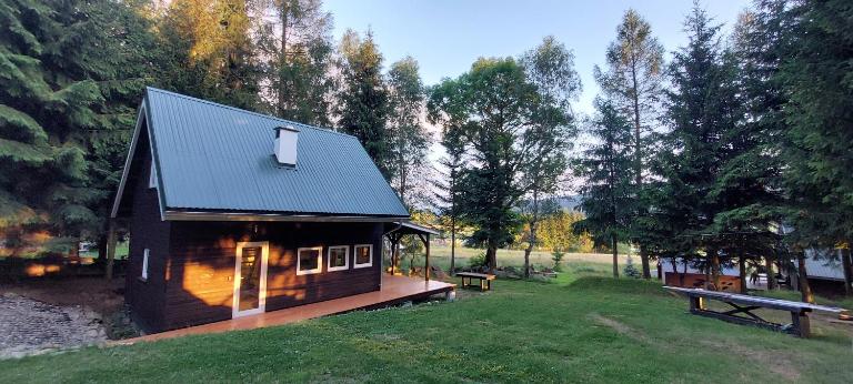 Domek Dorota z widokiem na góry Lasówka 5km do Zieleniec Ski Arena - B&B Lasówka