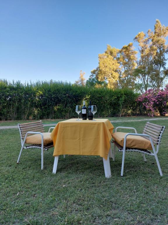Bodega y Alojamiento Don Vega 2 - B&B Tinogasta