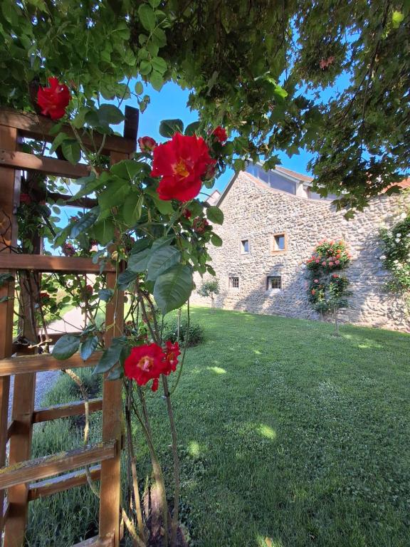 Ferienwohnung Überblick - Bed and Breakfast Radolfzell am Bodensee