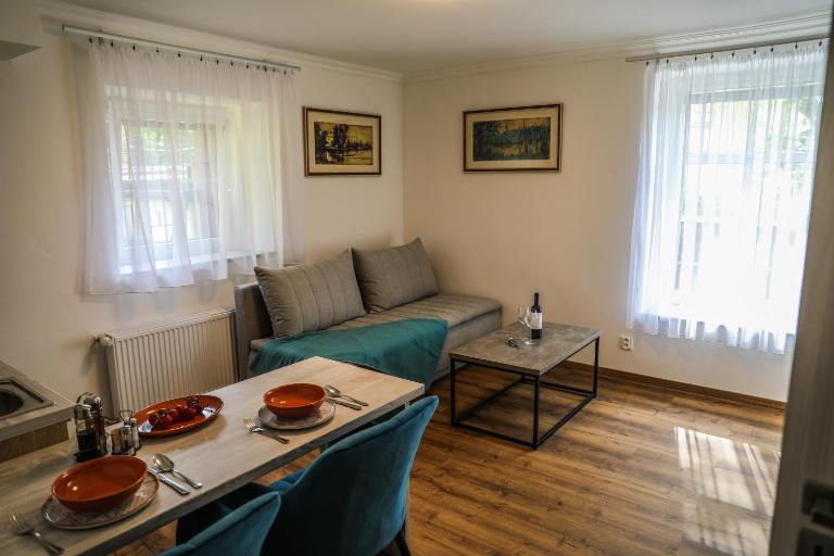 Apartment Irma - B&B Karlovy Vary