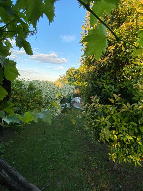 Harlaaki - Ferienwohnung Plaka Litochorou