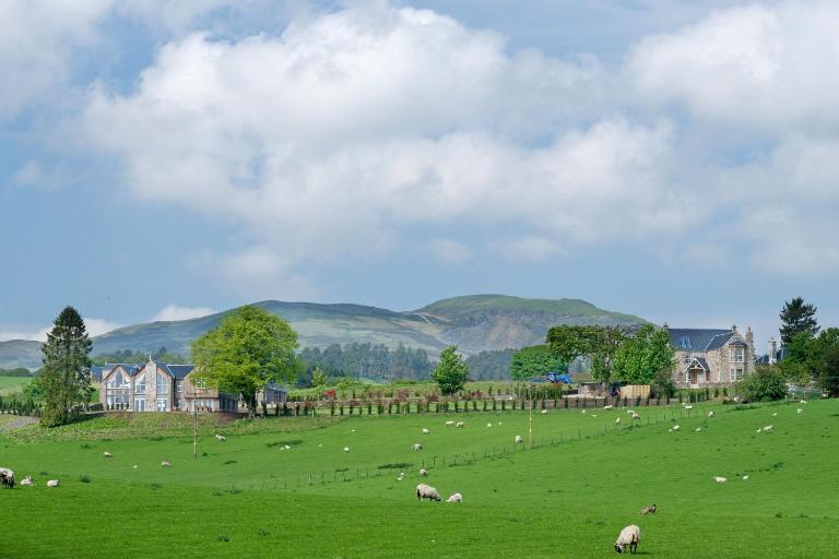 Milton Farm - Bed and Breakfast Buchanty