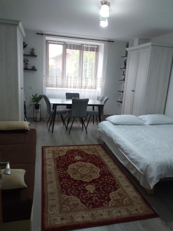 Fully Furnished Studio - Chambres d'hôtes Sighetu Marmaţiei