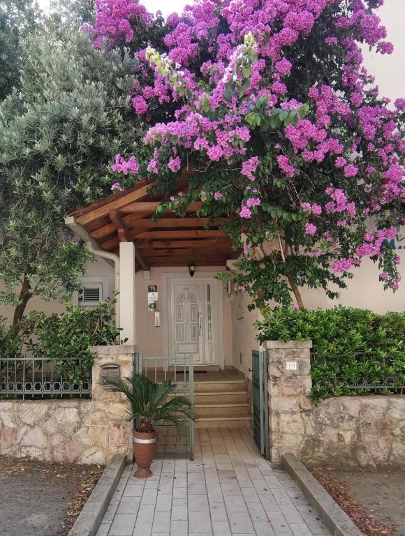 Apartments Maris - B&B Petrovac na Moru