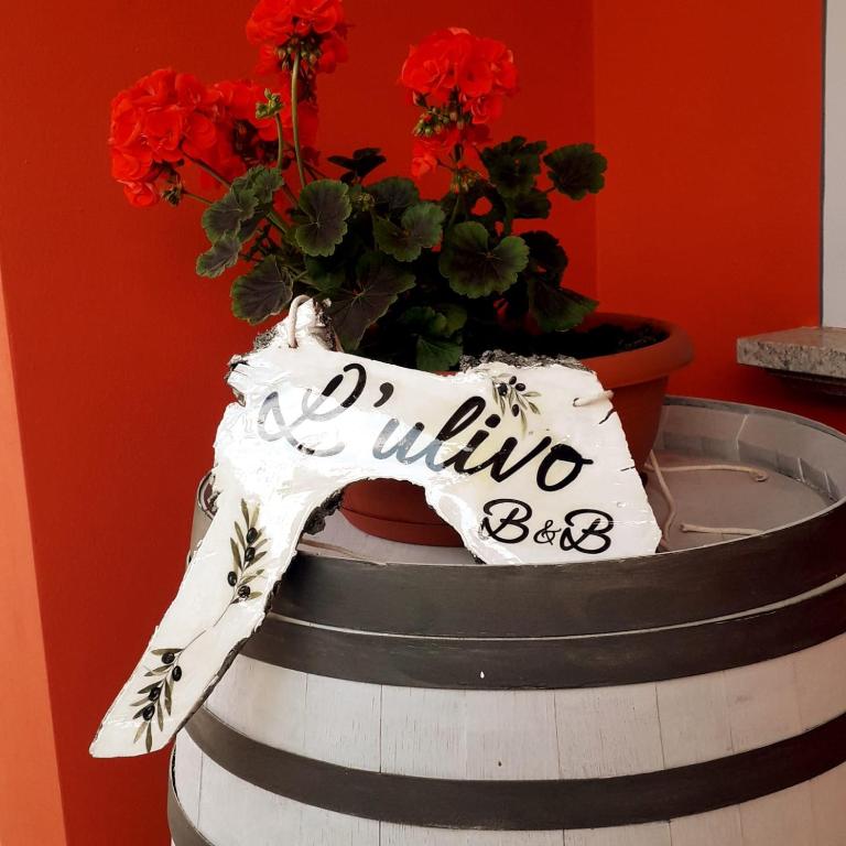 Beb ulivo - B&B Santa Giuletta