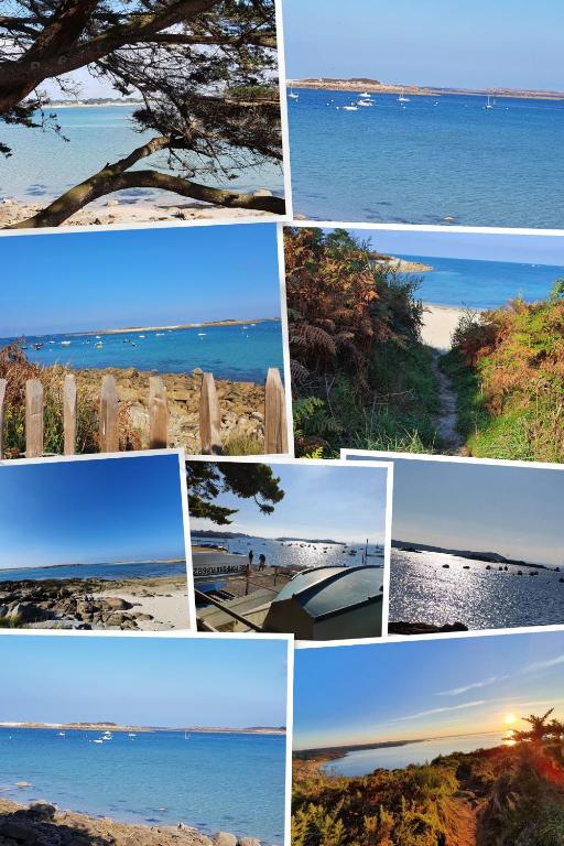 Les Menhirs - B&B Pleumeur-Bodou