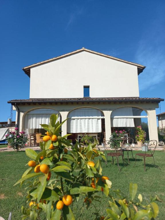 BeB montefratta - B&B Fratta Terme