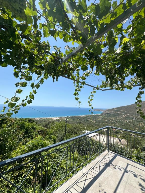 Villa Ani - B&B Borsh