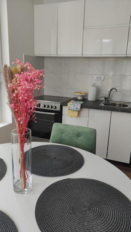 Apartman Bjanka - Bed and Breakfast Soko Banja