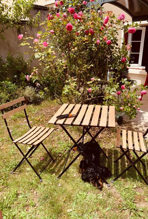Ibis Rouge - B&B Villars-les-Dombes