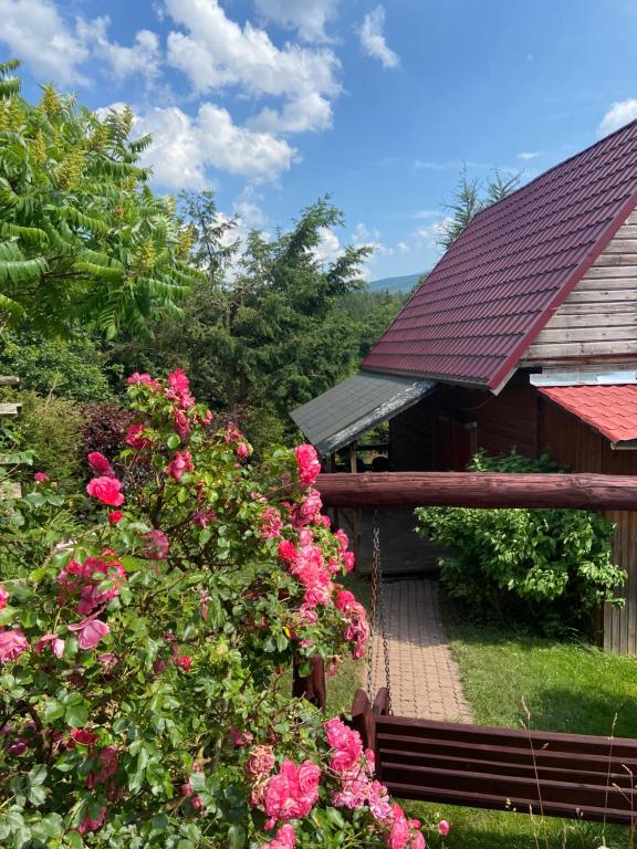 Agroturystyka Nad Stawem - B&B Przesieka
