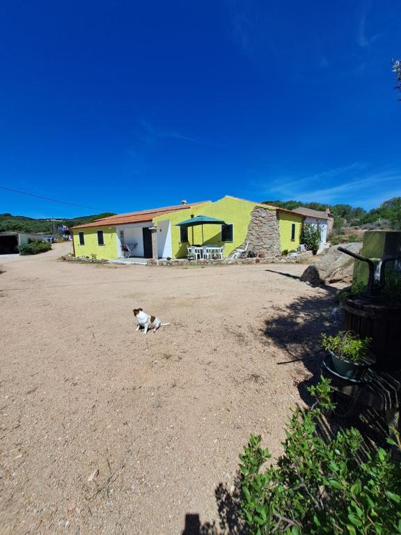 B&B li salcuneddi - B&B Aglientu