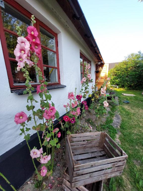 Fridfullt sommarhus mitt på Österlen - Bed and Breakfast Gärsnäs