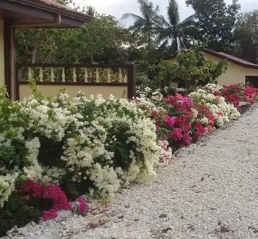 Garden INN - Chambres d'hôtes Santander Poblacion