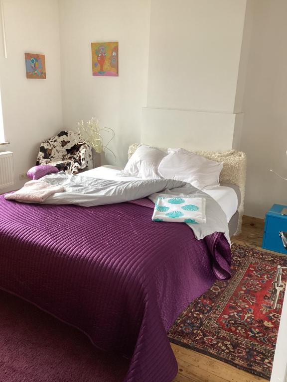 Au 81 - B&B Lieja