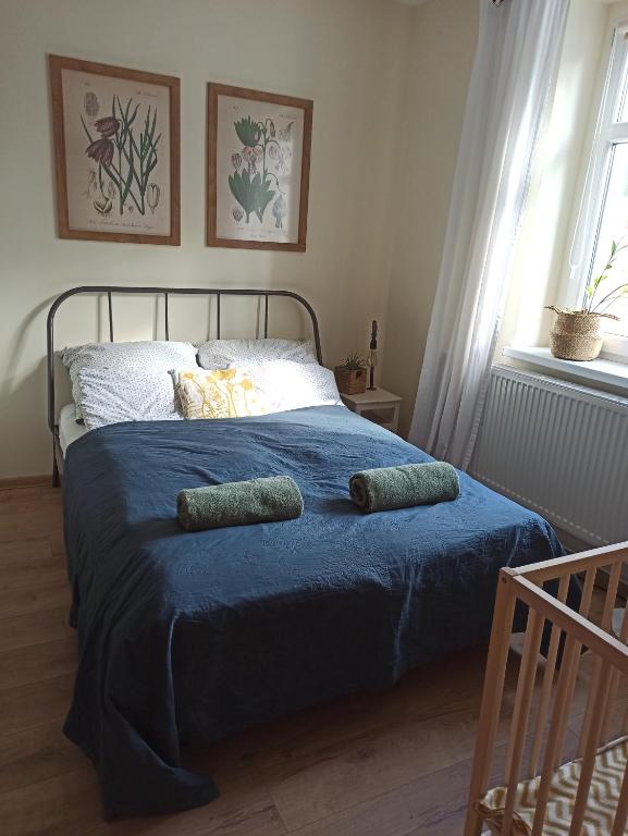 Apartament przy Wandy - B&B Zielona Góra