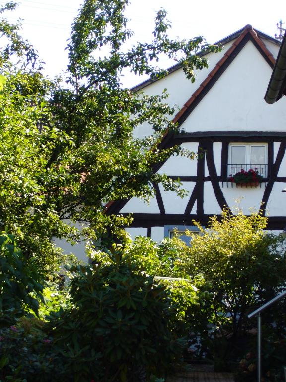 Ferienhaus 1534 - Chambres d'hôtes Neustadt an der Weinstraße