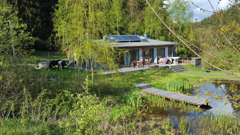 Ferienhäuser Ratsmühle, Haus am Teich - B&B Ilmenau
